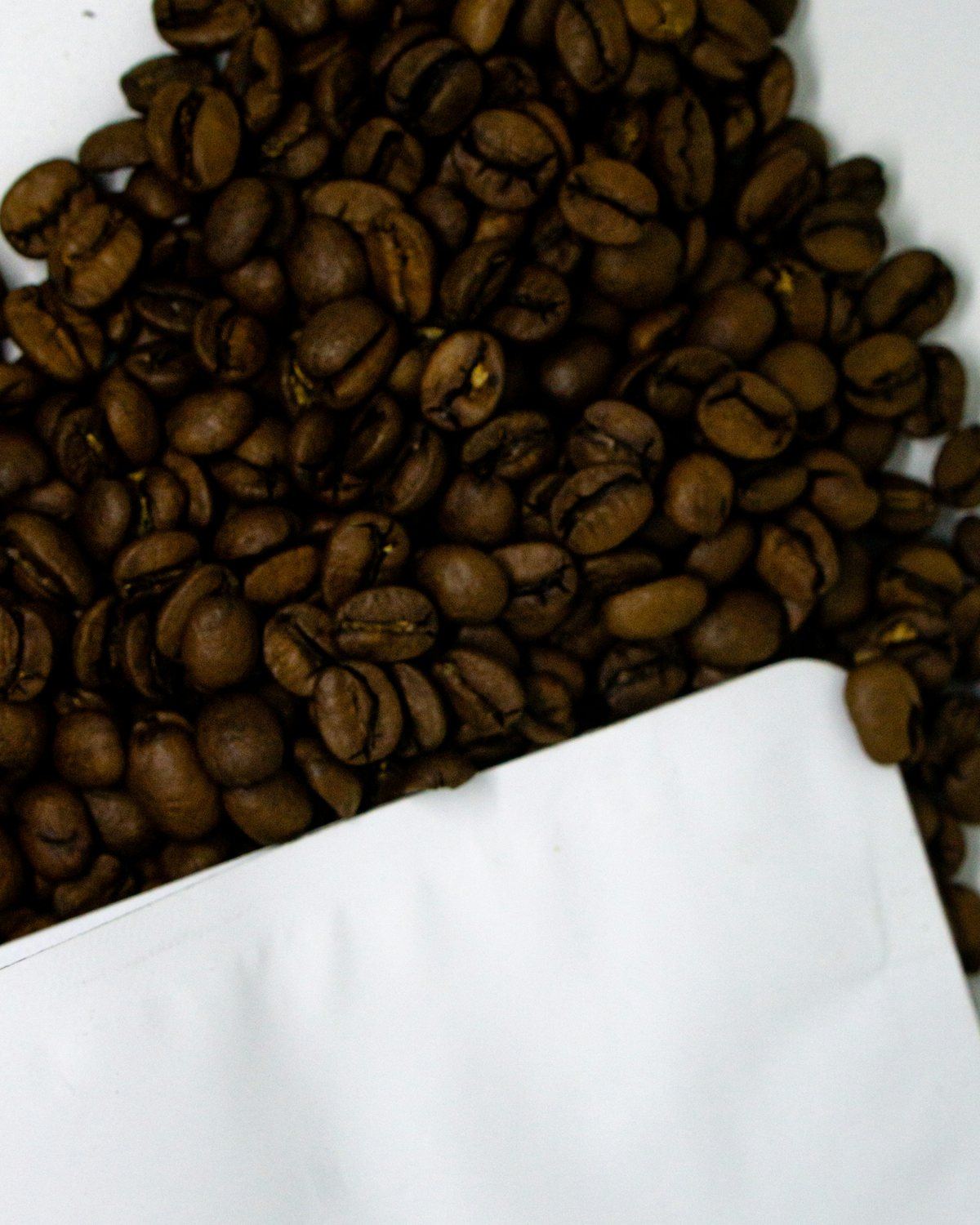 Night Shift Espresso