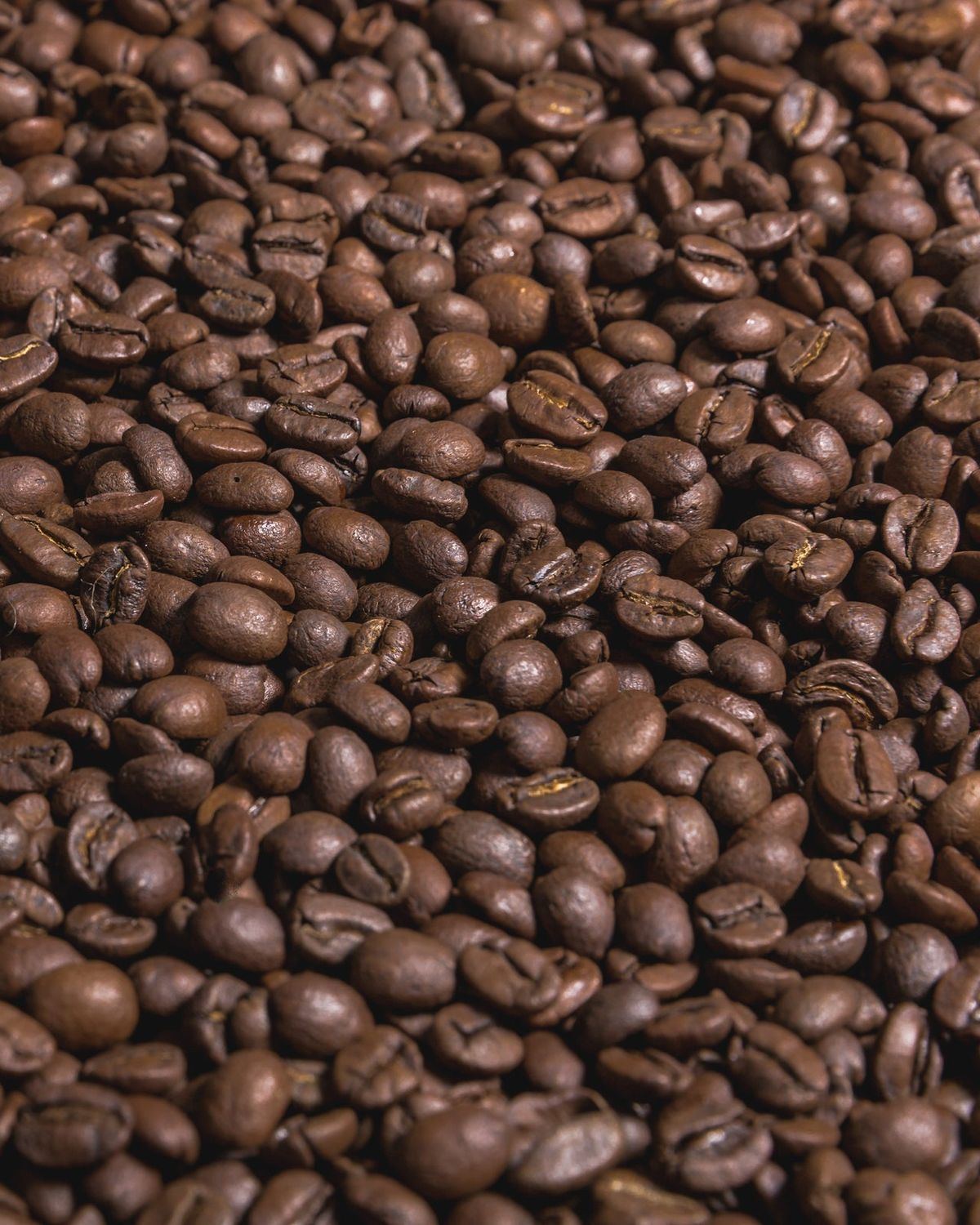 Swiss Water Decaf