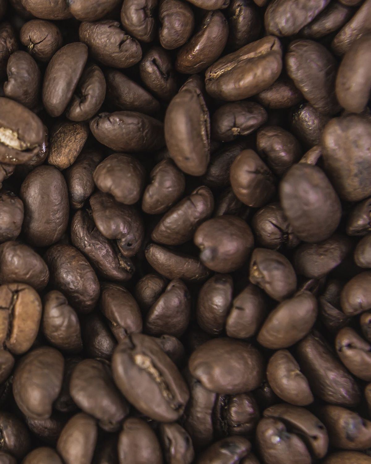 Morning Blend
